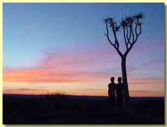 Sunset & Quivertree near the Fish river